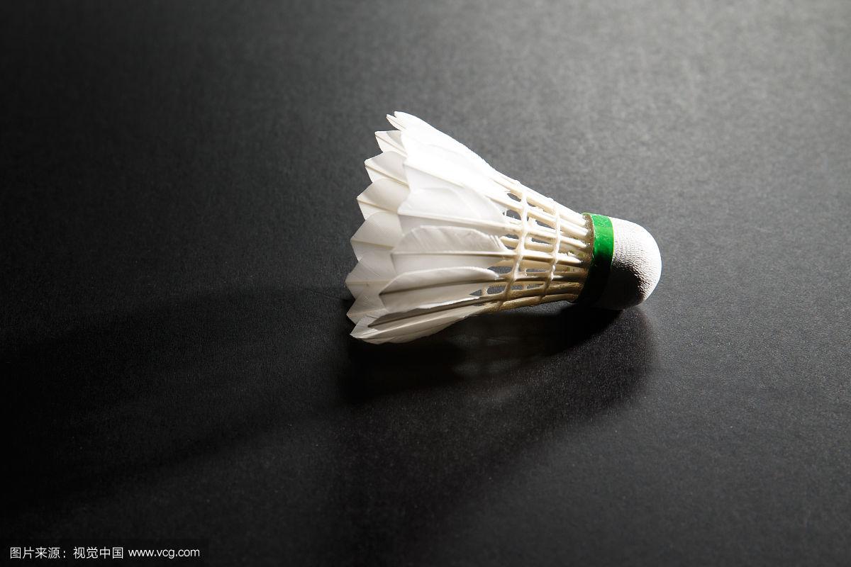 球队的未来 球队的未来